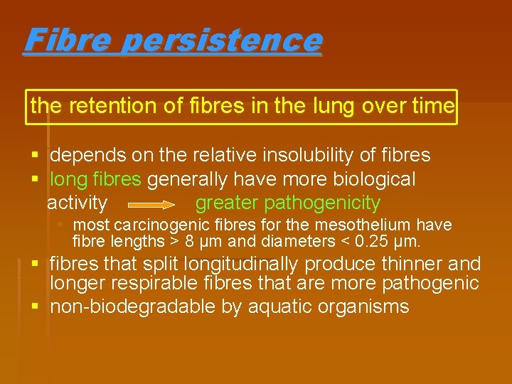 Fibre persistence the retention of fibres in the lung over time § depends on