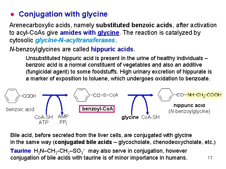 ● Conjugation with glycine Arenecarboxylic acids, namely substituted benzoic acids, after activation to acyl-Co.