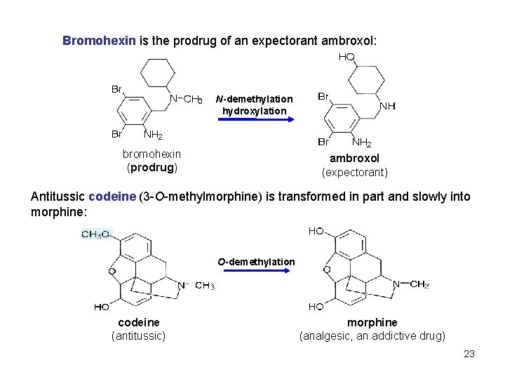 Bromohexin is the prodrug of an expectorant ambroxol: N-demethylation hydroxylation bromohexin (prodrug) ambroxol (expectorant)