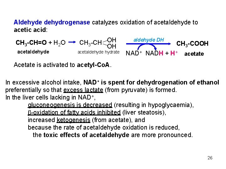 Aldehyde dehydrogenase catalyzes oxidation of acetaldehyde to acetic acid: CH 3 -CH=O + H