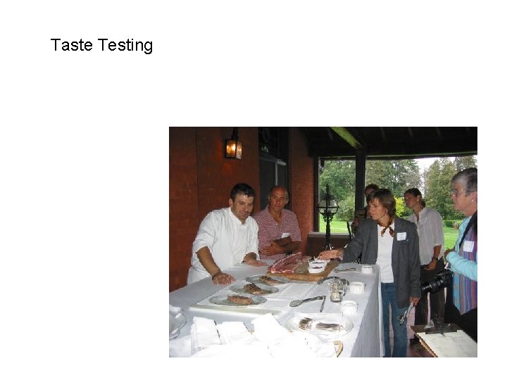 Taste Testing 