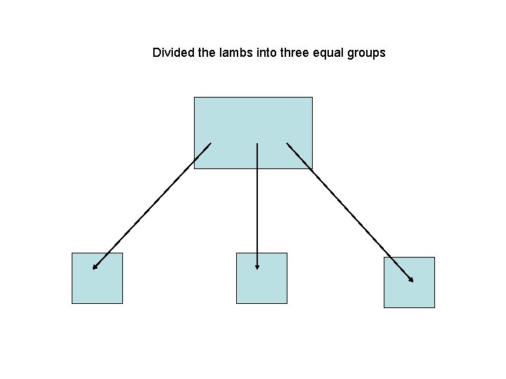 Divided the lambs into three equal groups 