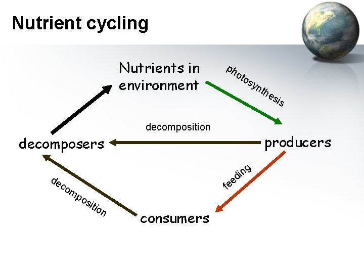 Nutrient cycling Nutrients in environment ph oto sy nth es decomposition producers decomposers g