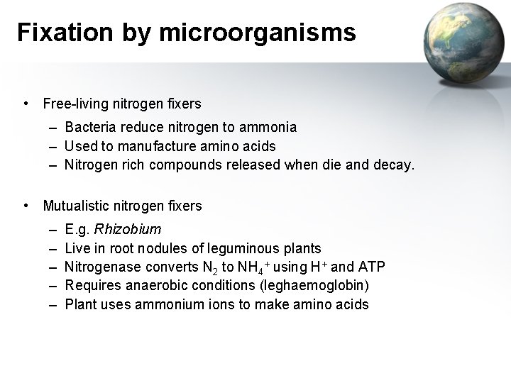 Fixation by microorganisms • Free-living nitrogen fixers – Bacteria reduce nitrogen to ammonia –