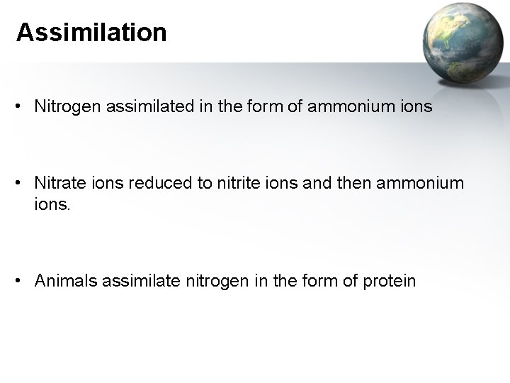Assimilation • Nitrogen assimilated in the form of ammonium ions • Nitrate ions reduced