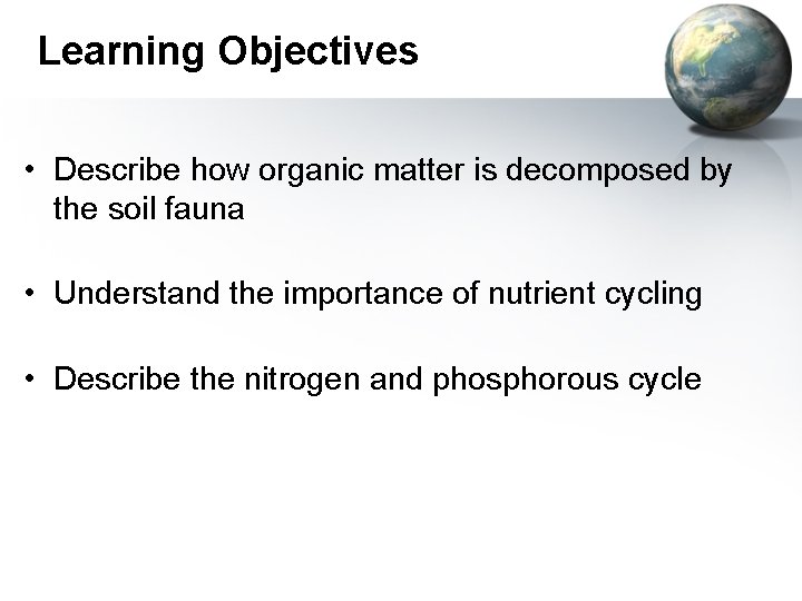 Learning Objectives • Describe how organic matter is decomposed by the soil fauna •