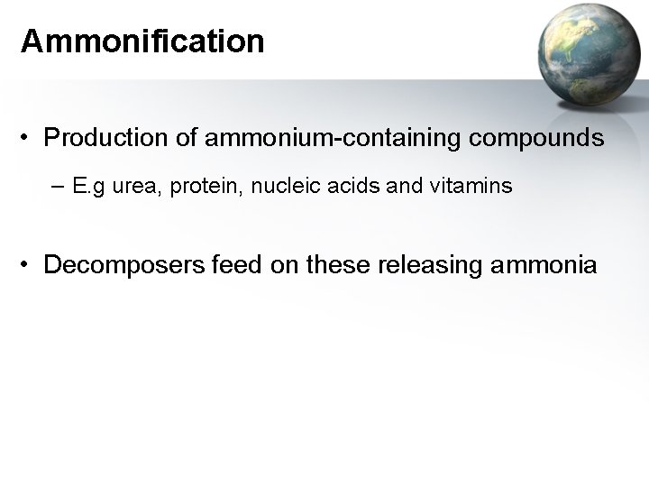 Ammonification • Production of ammonium-containing compounds – E. g urea, protein, nucleic acids and