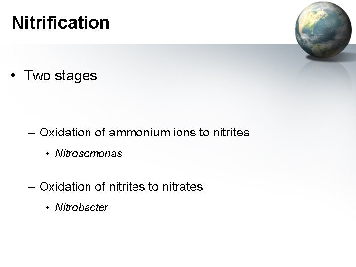 Nitrification • Two stages – Oxidation of ammonium ions to nitrites • Nitrosomonas –