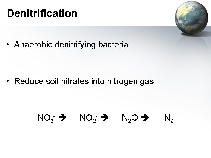 Denitrification • Anaerobic denitrifying bacteria • Reduce soil nitrates into nitrogen gas NO 3