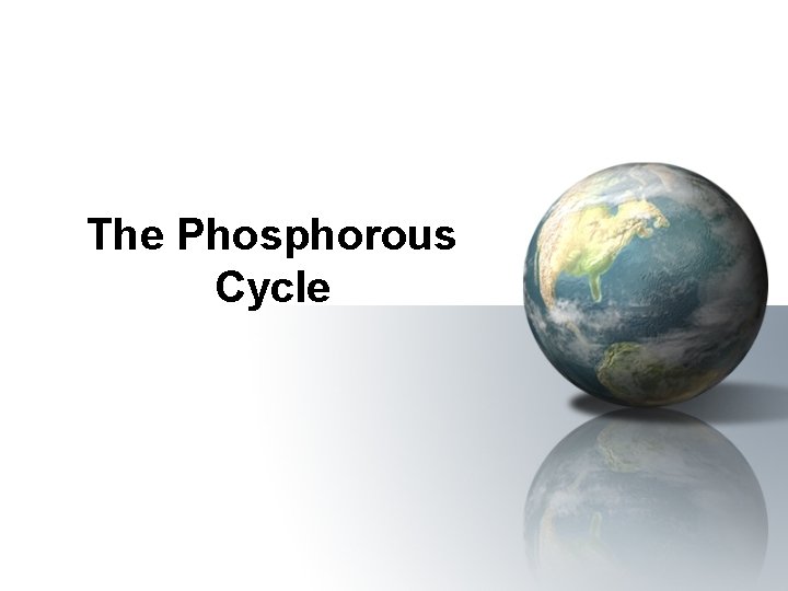 The Phosphorous Cycle 