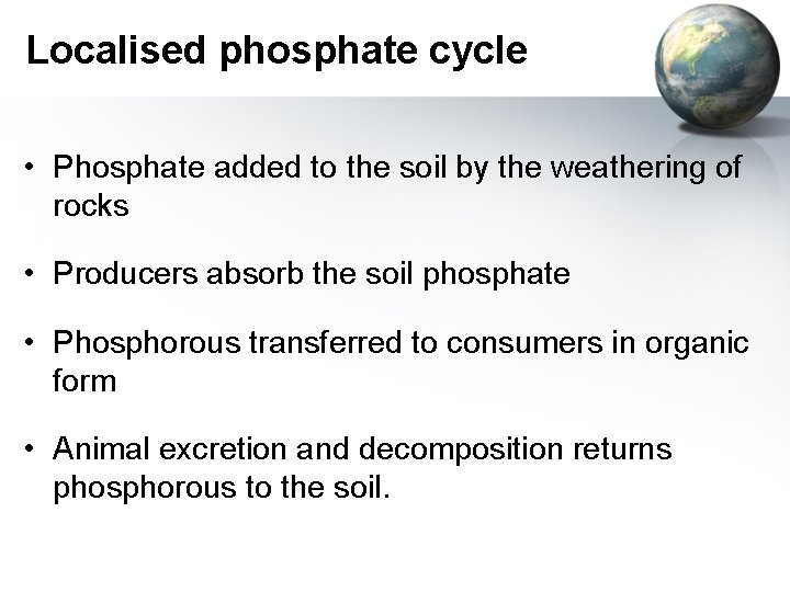 Localised phosphate cycle • Phosphate added to the soil by the weathering of rocks