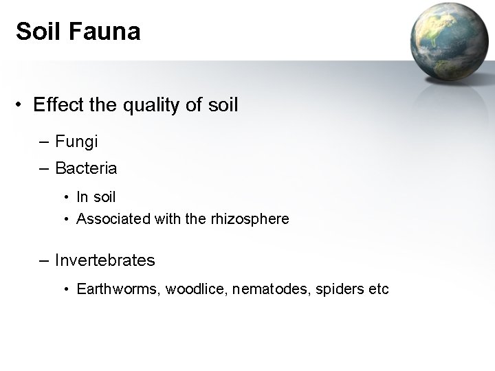 Soil Fauna • Effect the quality of soil – Fungi – Bacteria • In