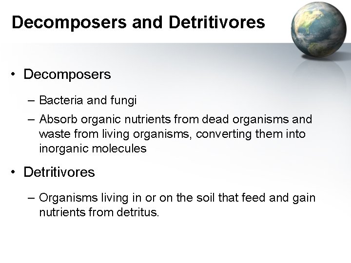 Decomposers and Detritivores • Decomposers – Bacteria and fungi – Absorb organic nutrients from