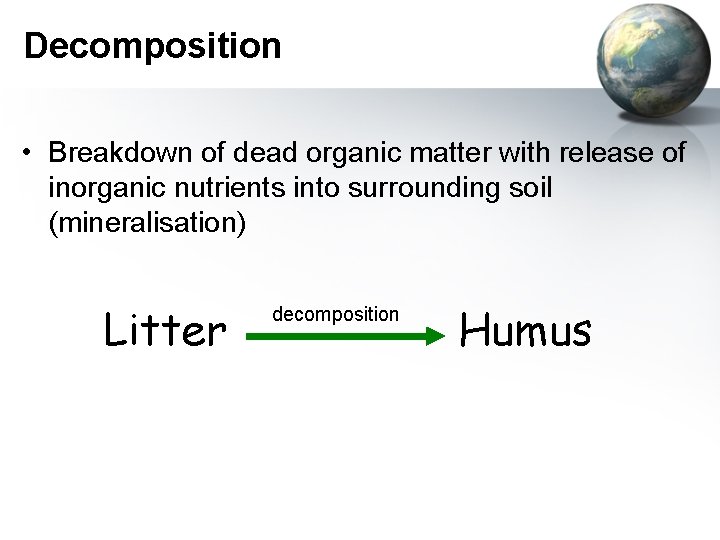 Decomposition • Breakdown of dead organic matter with release of inorganic nutrients into surrounding