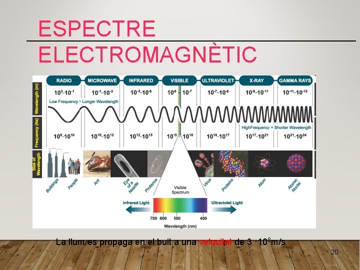 ESPECTRE ELECTROMAGNÈTIC La llum es propaga en el buit a una velocitat de 3