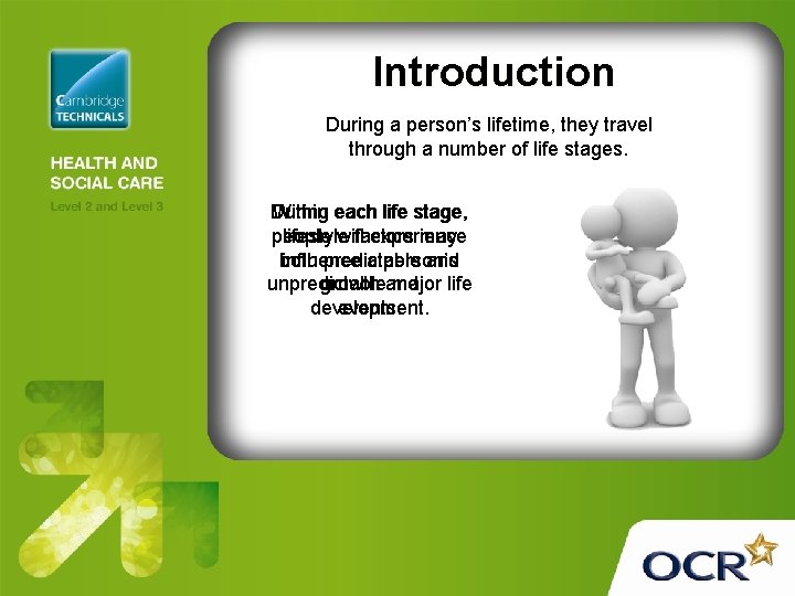 Introduction During a person’s lifetime, they travel through a number of life stages. During