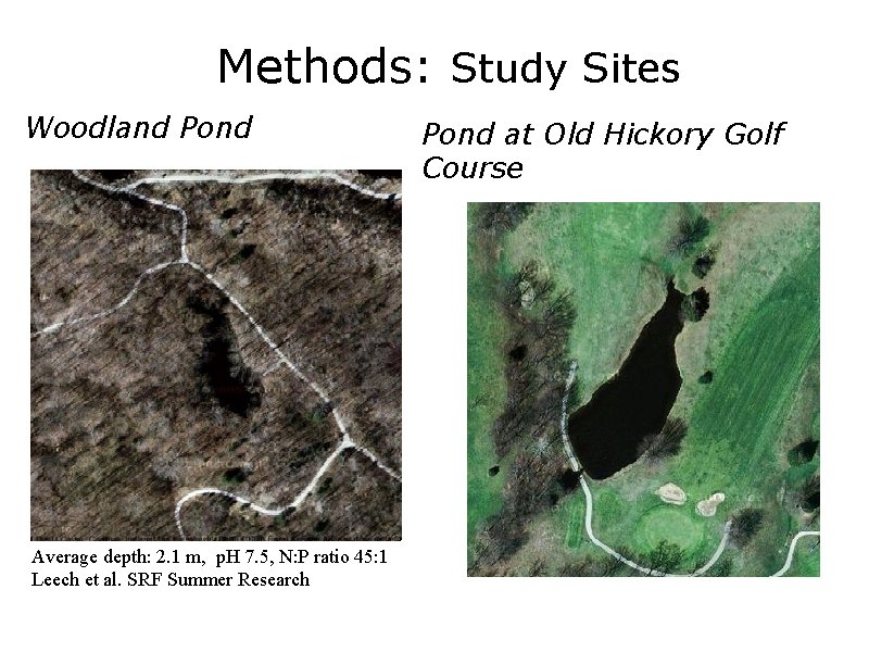 Methods: Study Sites Woodland Pond Average depth: 2. 1 m, p. H 7. 5,