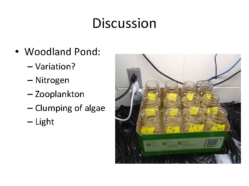 Discussion • Woodland Pond: – Variation? – Nitrogen – Zooplankton – Clumping of algae