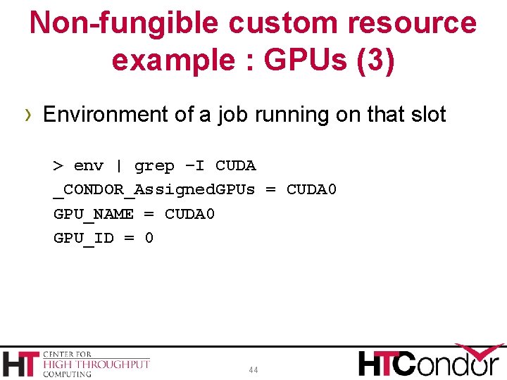 Non-fungible custom resource example : GPUs (3) › Environment of a job running on