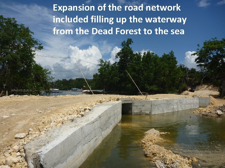 Expansion of the road network included filling up the waterway from the Dead Forest