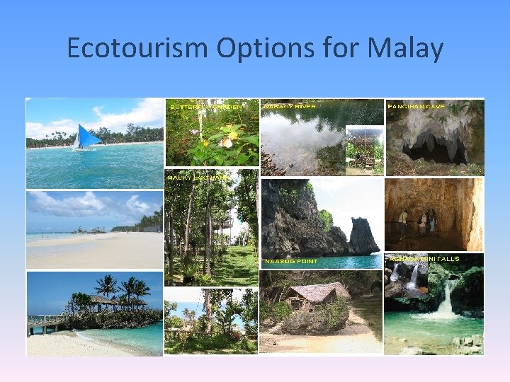 Ecotourism Options for Malay 