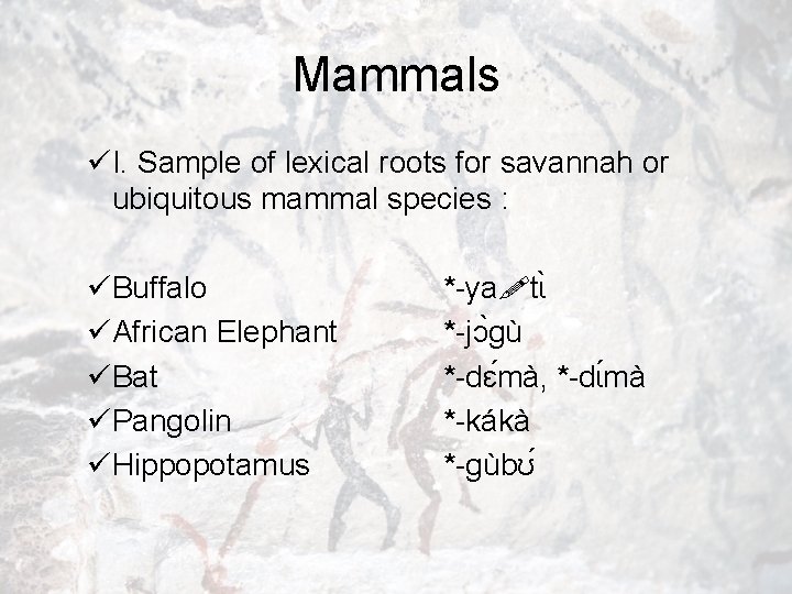 Mammals üI. Sample of lexical roots for savannah or ubiquitous mammal species : üBuffalo