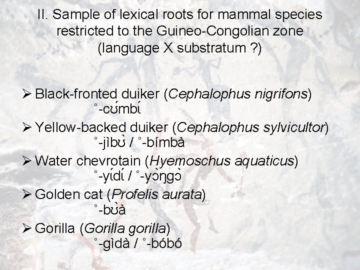 II. Sample of lexical roots for mammal species restricted to the Guineo-Congolian zone (language