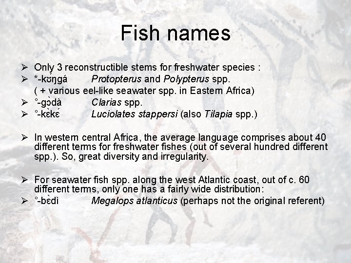 Fish names Ø Only 3 reconstructible stems for freshwater species : Ø *-kʊ ŋgá