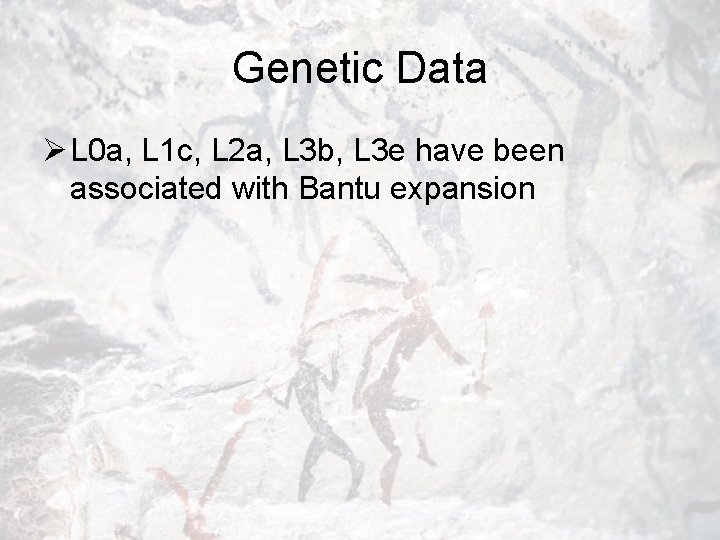 Genetic Data Ø L 0 a, L 1 c, L 2 a, L 3