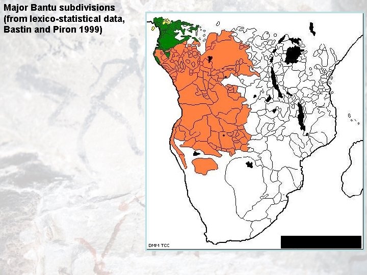 Major Bantu subdivisions (from lexico-statistical data, Bastin and Piron 1999) 