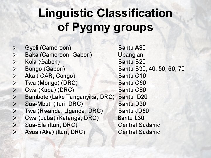 Linguistic Classification of Pygmy groups Ø Ø Ø Ø Gyeli (Cameroon) Bantu A 80
