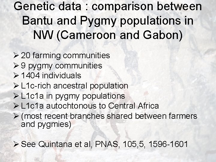 Genetic data : comparison between Bantu and Pygmy populations in NW (Cameroon and Gabon)