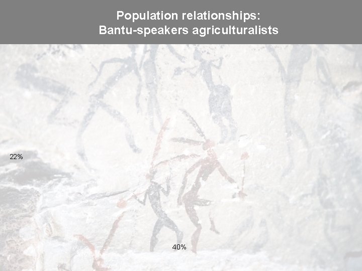 Population relationships: Bantu-speakers agriculturalists 22% 40% 