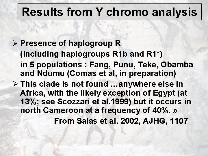 Results from Y chromo analysis Ø Presence of haplogroup R (including haplogroups R 1