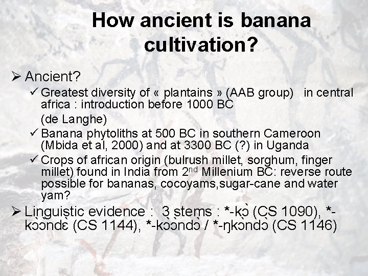 How ancient is banana cultivation? Ø Ancient? ü Greatest diversity of « plantains »
