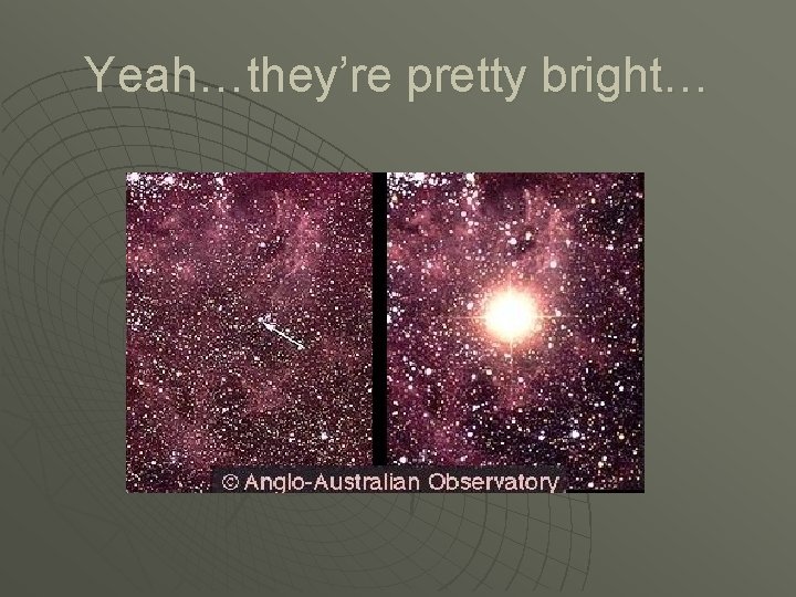 Yeah…they’re pretty bright… 