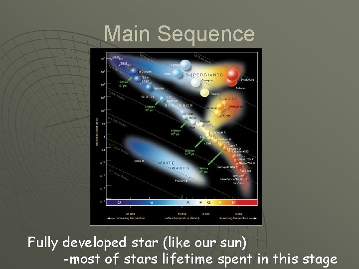 Main Sequence Fully developed star (like our sun) -most of stars lifetime spent in