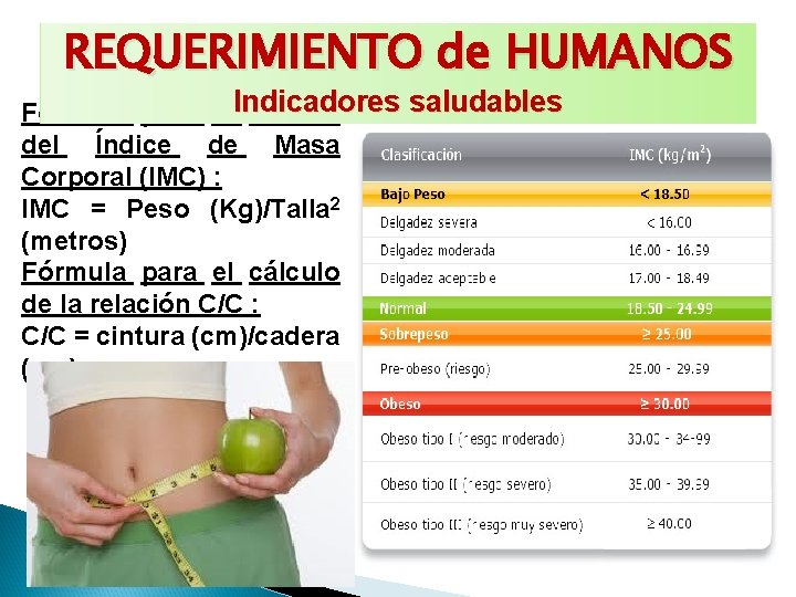 REQUERIMIENTO de HUMANOS Fórmula para el Indicadores saludables calculo del Índice de Masa Corporal