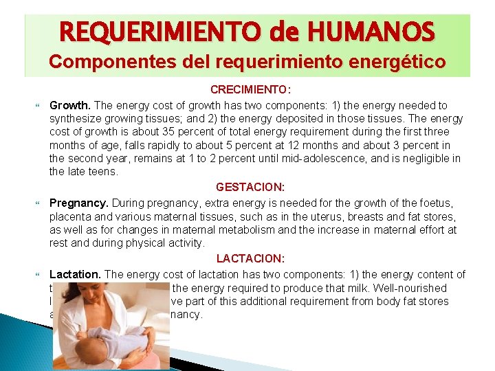 REQUERIMIENTO de HUMANOS Componentes del requerimiento energético CRECIMIENTO: Growth. The energy cost of growth