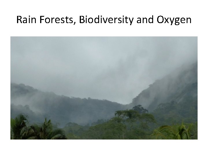 Rain Forests, Biodiversity and Oxygen 