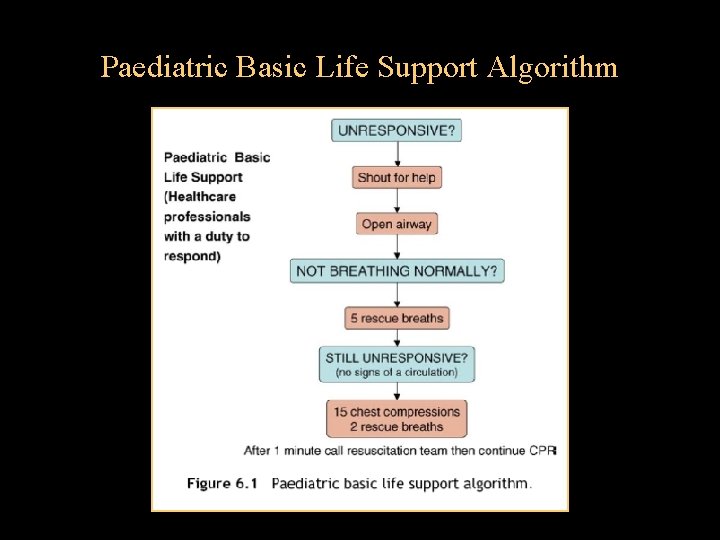 Paediatric Basic Life Support Algorithm 