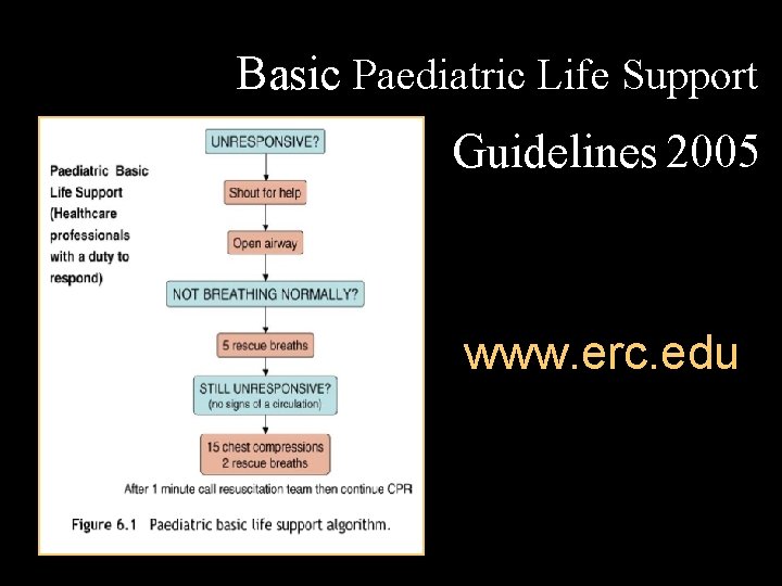 Basic Paediatric Life Support Guidelines 2005 www. erc. edu 