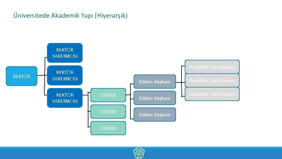 Üniversitede Akademik Yapı (Hiyerarşik) REKTÖR YARDIMCISI REKTÖR Anabilim Dalı Başkanı REKTÖR YARDIMCISI Bölüm Başkanı