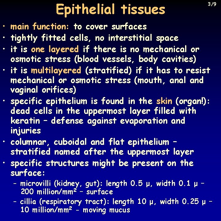 Epithelial tissues 3/9 • main function: to cover surfaces • tightly fitted cells, no