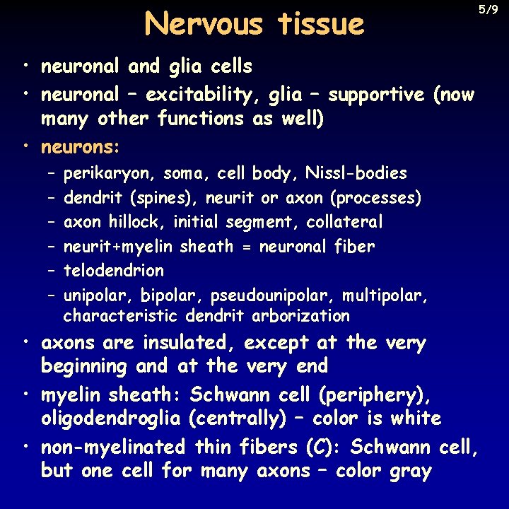 Nervous tissue 5/9 • neuronal and glia cells • neuronal – excitability, glia –