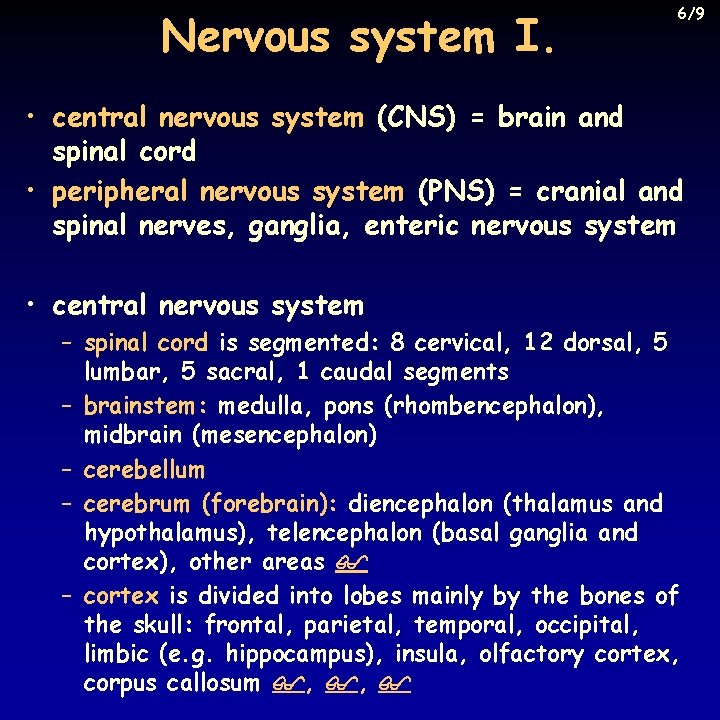 Nervous system I. 6/9 • central nervous system (CNS) = brain and spinal cord
