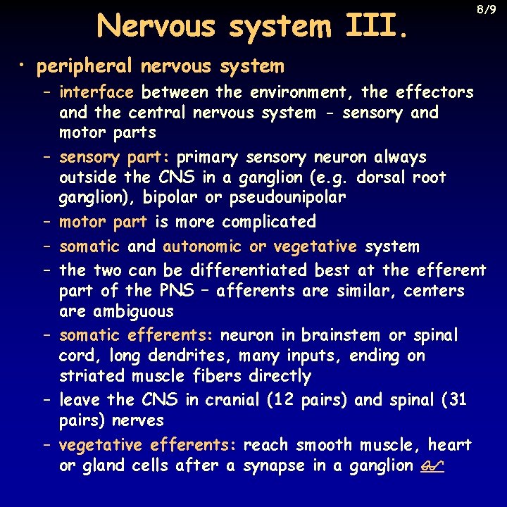 Nervous system III. 8/9 • peripheral nervous system – interface between the environment, the