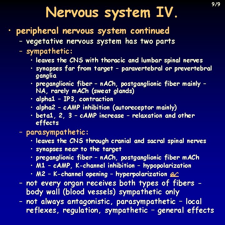 Nervous system IV. 9/9 • peripheral nervous system continued – vegetative nervous system has