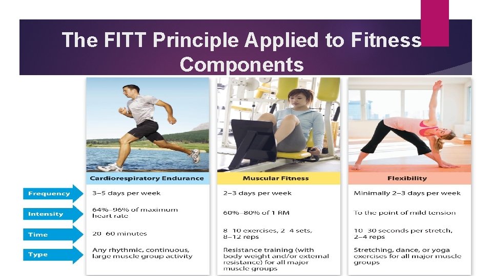 The FITT Principle Applied to Fitness Components 