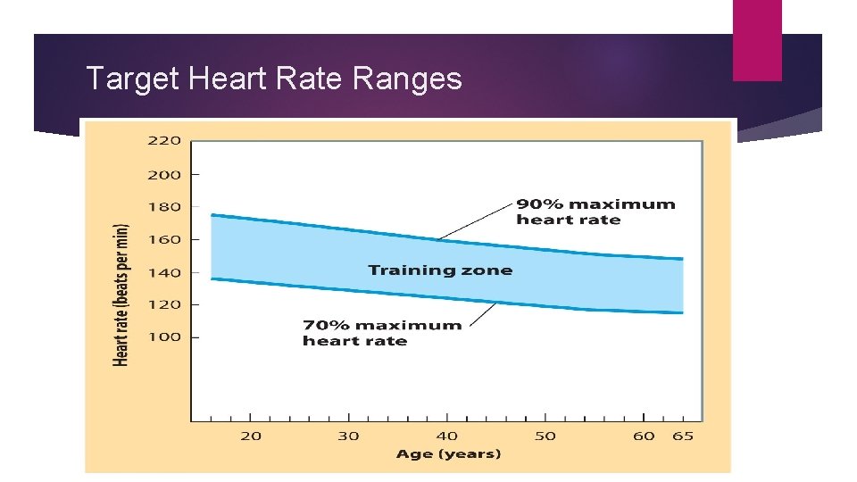 Target Heart Rate Ranges 